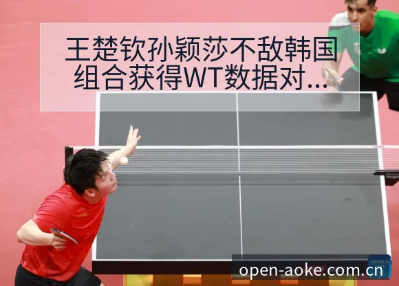 王楚钦孙颖莎不敌韩国组合获得WT数据对比与趋势观察赛程前 - 澳客