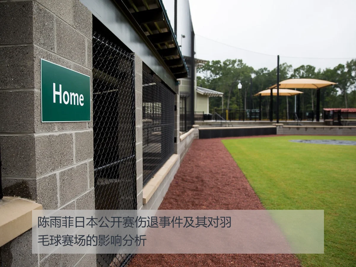 陈雨菲日本公开赛伤退事件及其对羽毛球赛场的影响分析